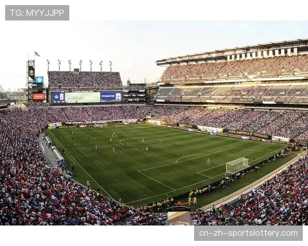 为申办2030世界杯,法国多地启动球场翻新,政府补贴与俱乐部投资比例成焦点